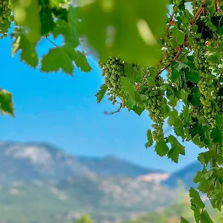 Belgin Appartamento Kaş